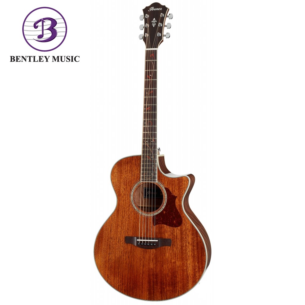 Ibanez ae245jr acoustic on sale electric guitar