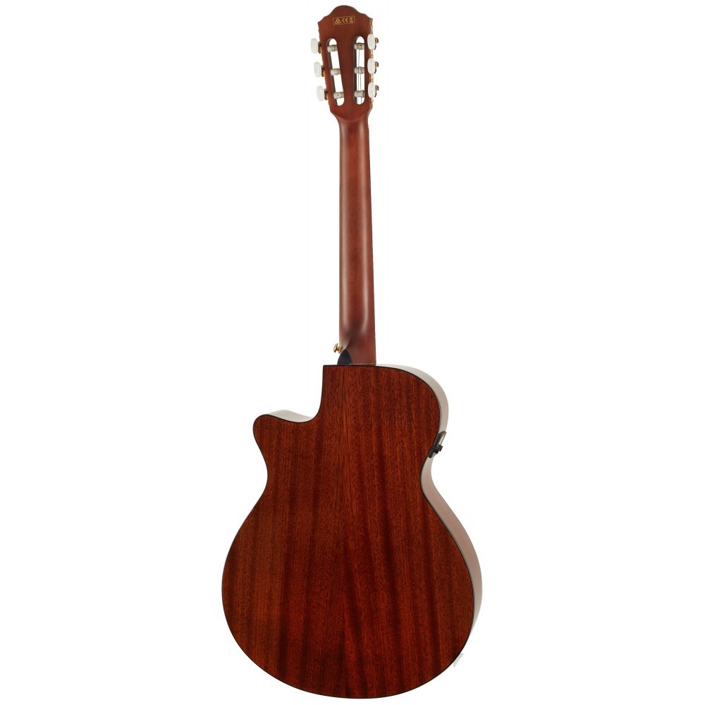 Ibanez AEG50N-BKH AEG Series Nylon Stringed Acoustic Electric Guitar, Black  High Gloss | Bentley Music