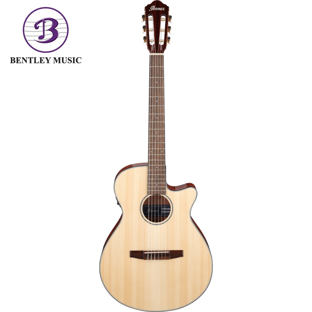 Ibanez AEG50N-BKH AEG Series Nylon Stringed Acoustic Electric