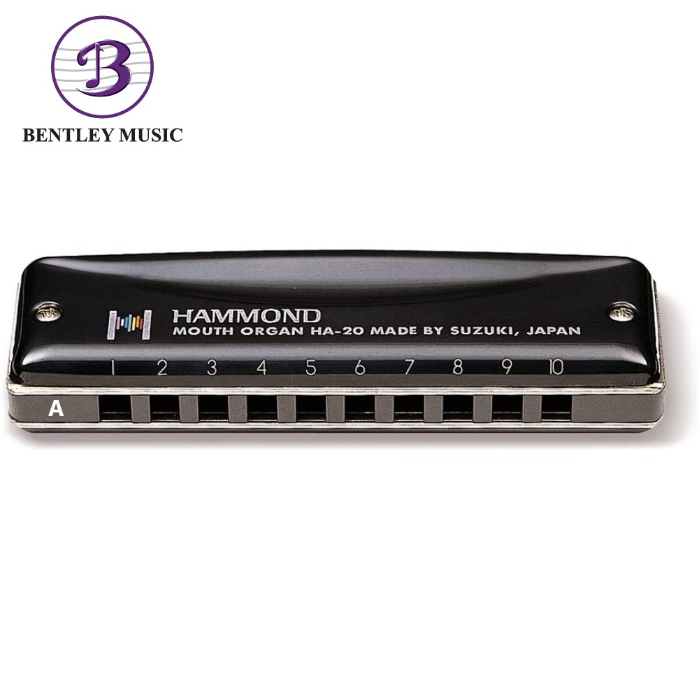 Suzuki HA-20-A A Key 10 Holes Promaster Hammond Diatonic Harmonica 