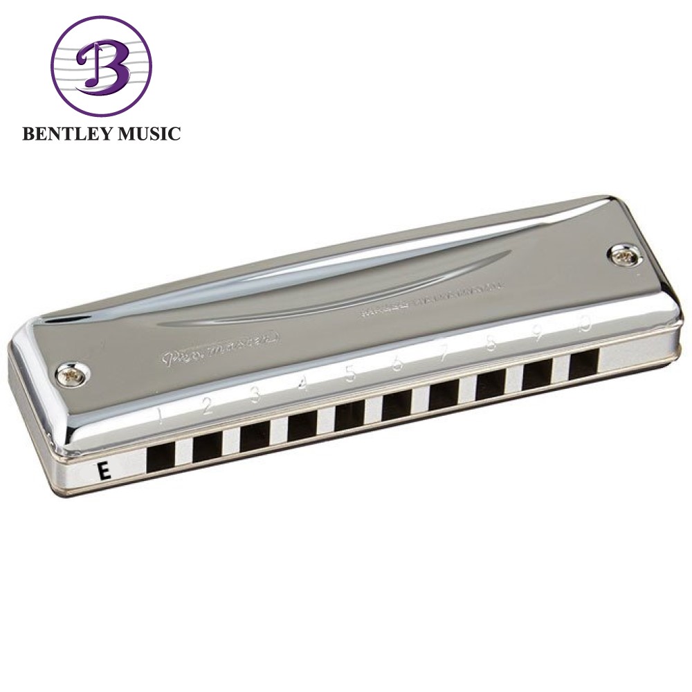Suzuki MR-250 Bluesmaster Professional 10-Hole Diatonic Harmonica, Key of B  Flat