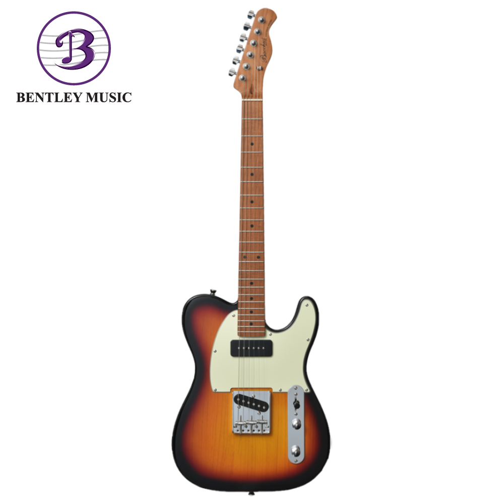 Bacchus BST-2-RSM M LPB ローステッドメープル - ギター