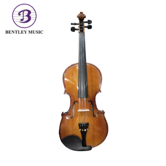 4/4 Violin Outfit with Case and Bow