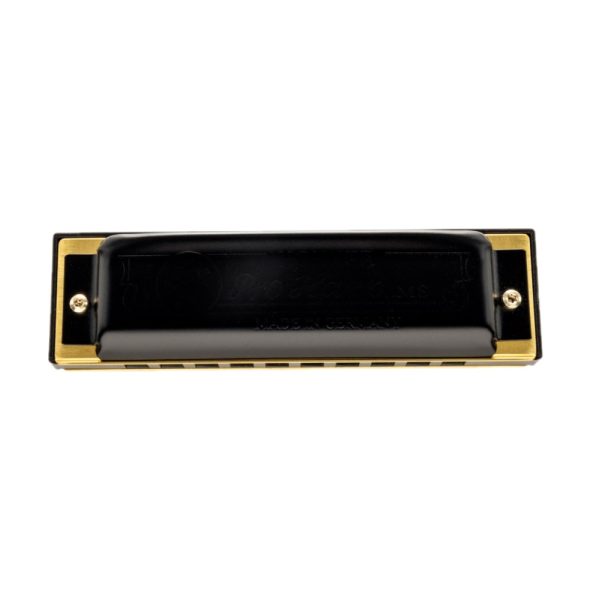 Hohner M564016P-C Pro Harp 10 Holes Harmonica, C - Image 2