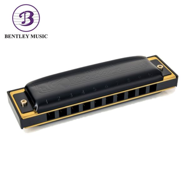 Hohner M564016P-C Pro Harp 10 Holes Harmonica, C