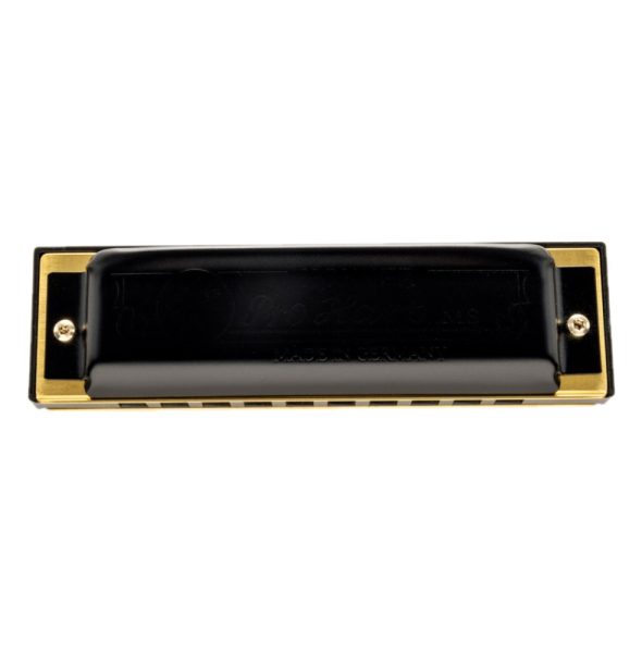 Hohner M564036P-D Pro Harp 10 Holes Harmonica, D - Image 2