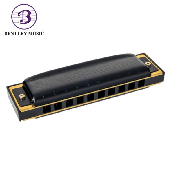 Hohner M564036P-D Pro Harp 10 Holes Harmonica, D