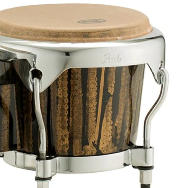 Pearl PBF300HV 644 Havana Bongo 7+8 1/2", Liquid Gold - Image 3